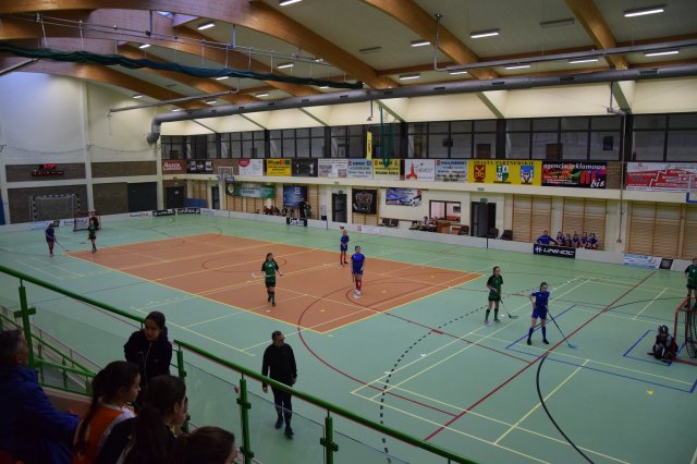 igdzuni 3